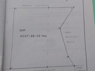 se vende terreno rustico en ocampo tamps