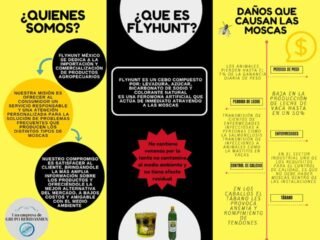 TRAMPA PARA MOSCAS FLYHUNT