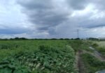 venta terreno 3.5 hectáreas españitas TLAXCALA VENTA