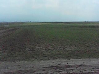 Terreno en venta de 5 hectáreas
