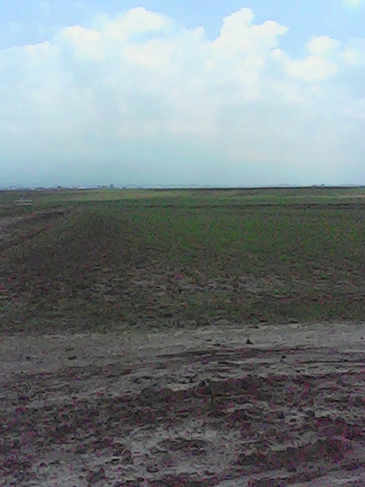 Terreno en venta de 5 hectáreas