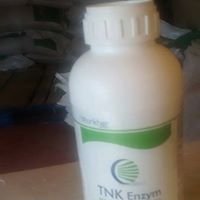 TNK Enzym