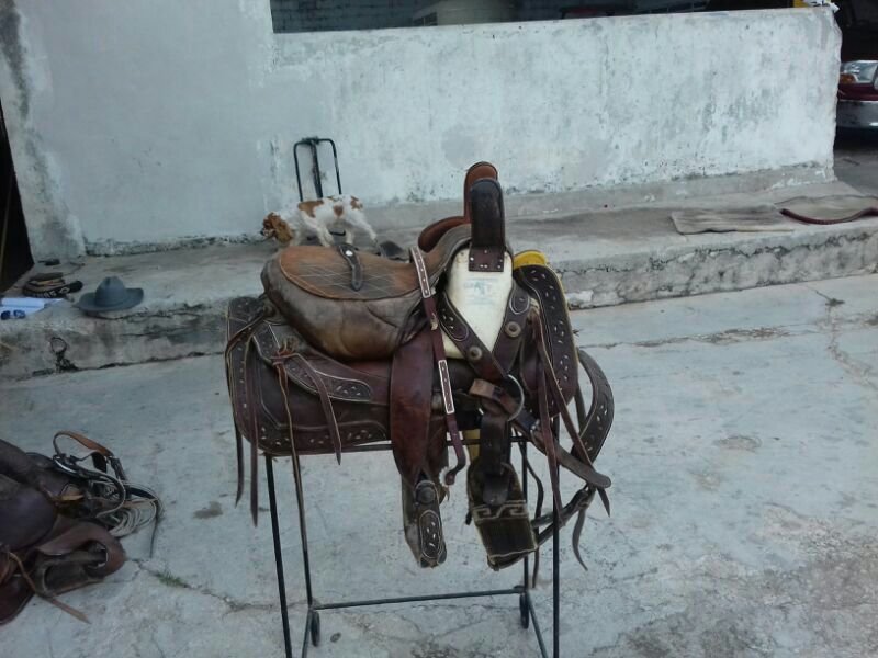 Venta 8 albardas