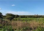Terreno en Venta en Cienega de Quijas, Sierra de Laureles, Calvillo, Aguascalientes.