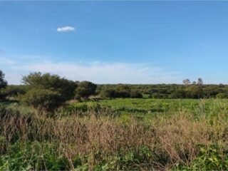 Terreno en Venta en Cienega de Quijas, Sierra de Laureles, Calvillo, Aguascalientes.