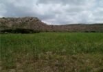 Terreno en Venta en Cienega de Quijas, Sierra de Laureles, Calvillo, Aguascalientes.