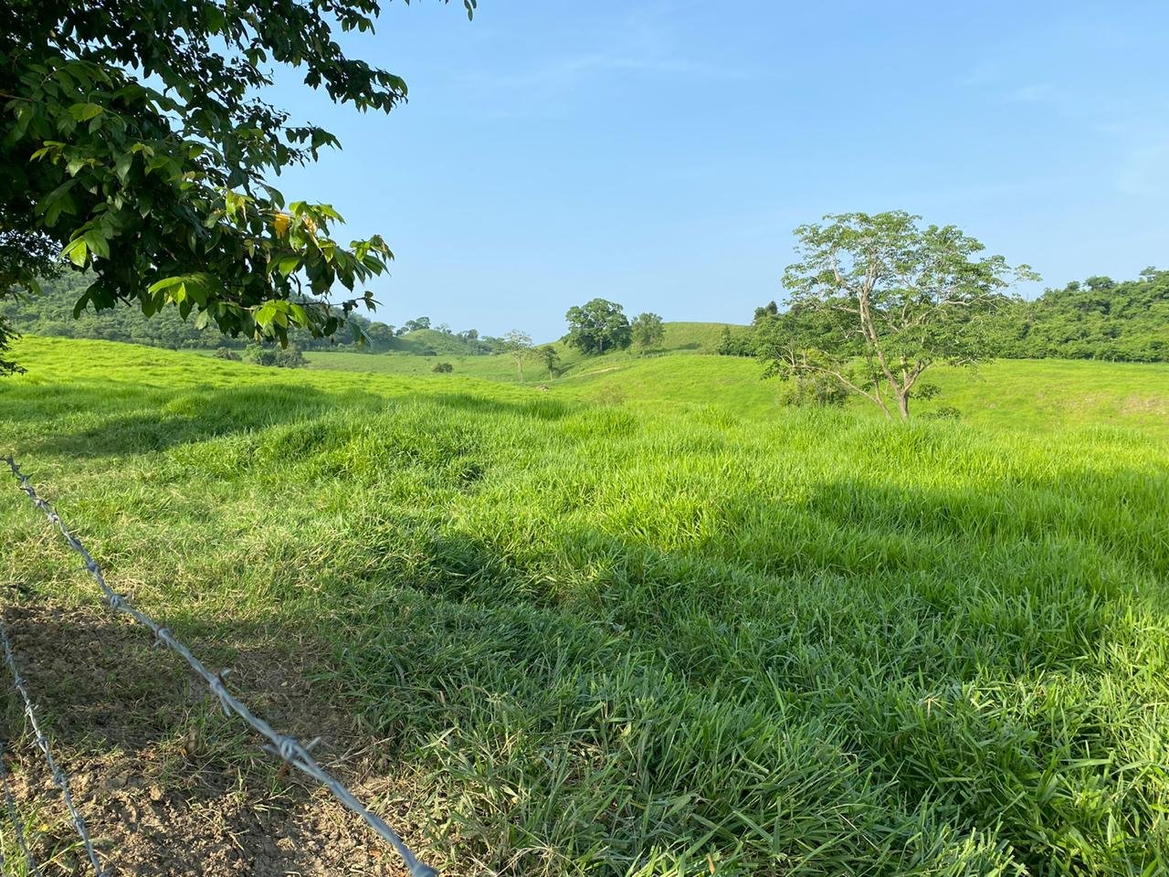 Rancho en venta en la sierra norte de Puebla