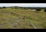 Venta de Rancho en Dr. Ferrer Veracruz