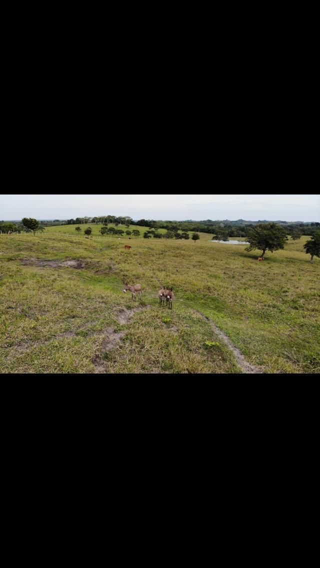 Venta de Rancho en Dr. Ferrer Veracruz