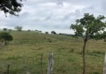 Venta de Rancho en Dr. Ferrer Veracruz