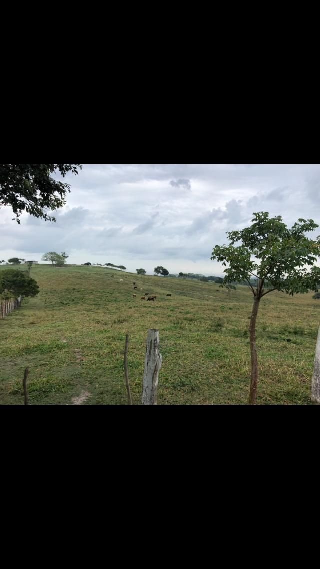 Venta de Rancho en Dr. Ferrer Veracruz