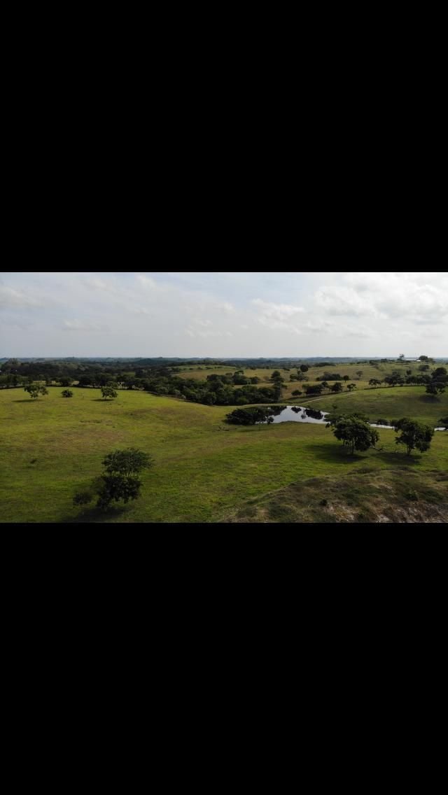 Venta de Rancho en Dr. Ferrer Veracruz