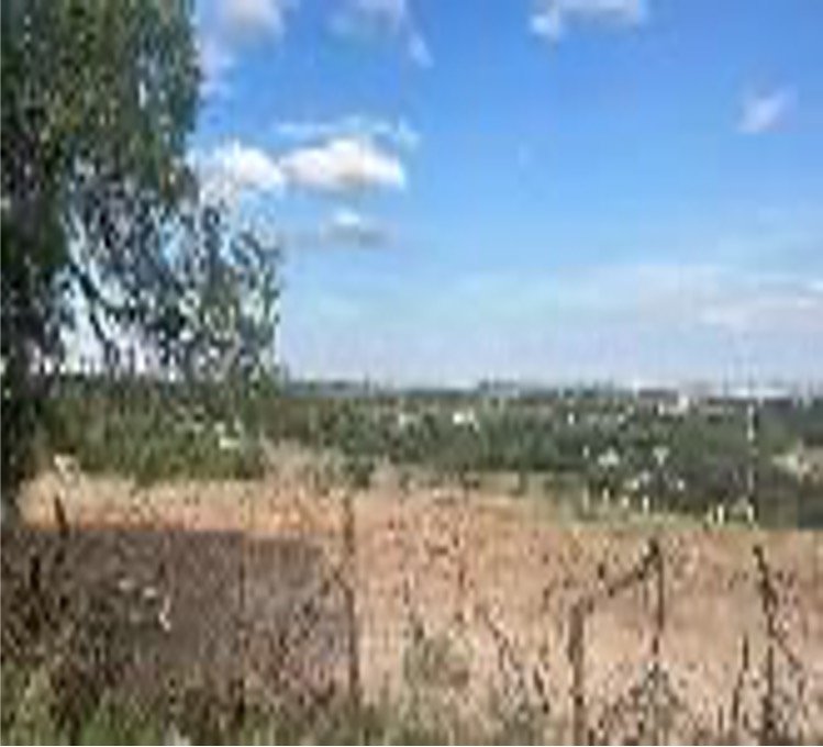 TERRENO EN VENTA , Ubicación. Rancho Los Caballos, cerca de Villa de Cos, sobre camino a Los Caballos.