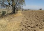 TERRENO EN VENTA , Ubicación. Rancho Los Caballos, cerca de Villa de Cos, sobre camino a Los Caballos.