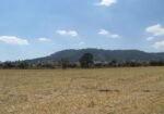 TERRENO EN VENTA , Ubicación. Rancho Los Caballos, cerca de Villa de Cos, sobre camino a Los Caballos.