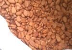 NUTRACAFE