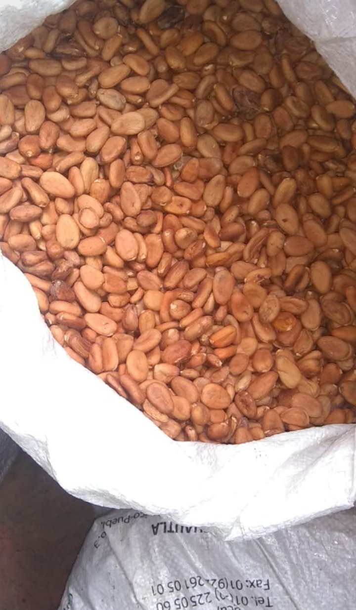 NUTRACAFE