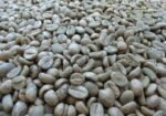 NUTRACAFE