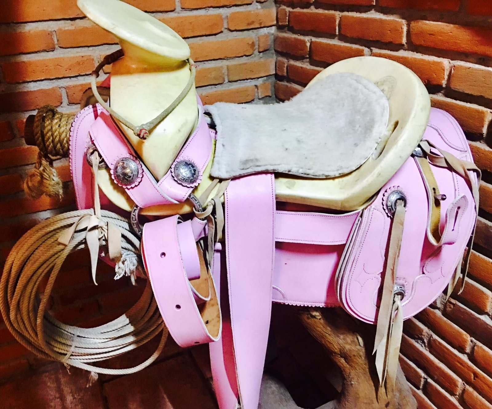 Remató silla nueva en Santo Tomas Ajusco  CDMX