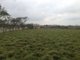 Terreno plano en venta de 10 hectáreas