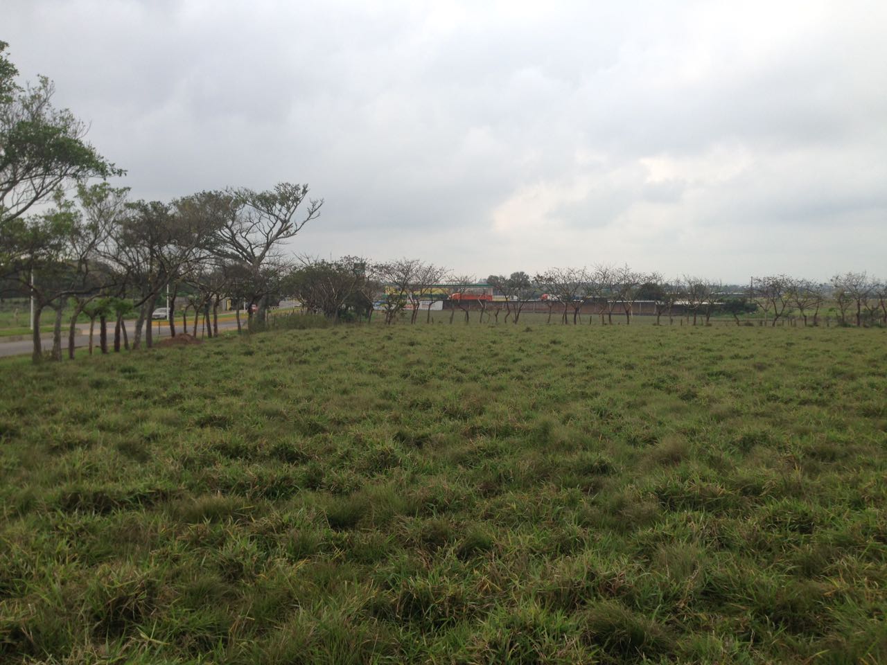 Terreno plano en venta de 10 hectáreas