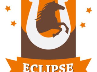 ALIMENTO ESPECIALIZADO PARA CABALLO