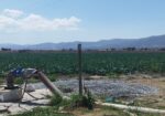 Se pone a la venta terreno con agua garantizada con pozo en grupo de 4 socios. en la Encantada, Fresnillo, Zacatecas.