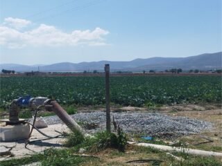 Se pone a la venta terreno con agua garantizada con pozo en grupo de 4 socios. en la Encantada, Fresnillo, Zacatecas.