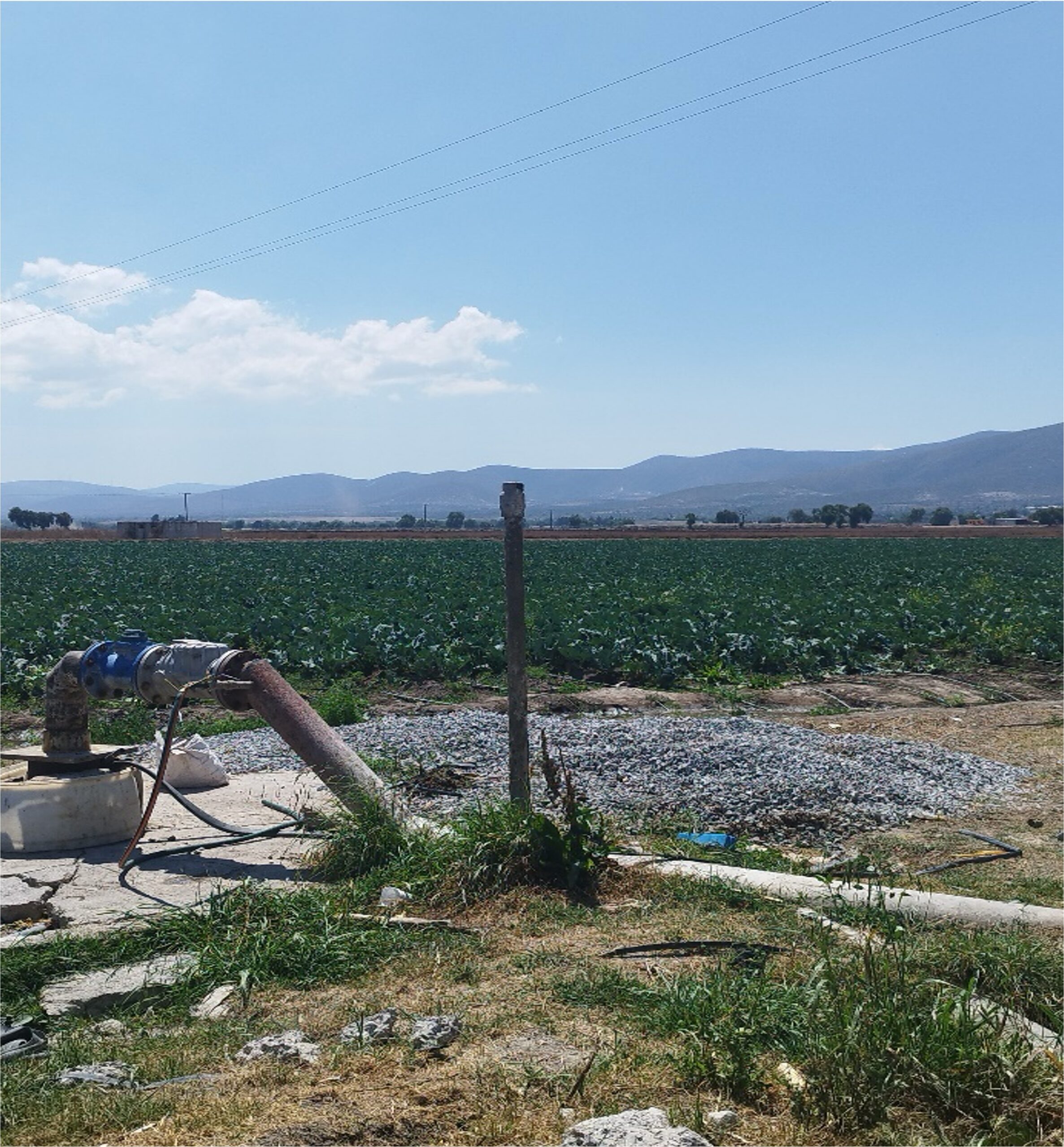 Se pone a la venta terreno con agua garantizada con pozo en grupo de 4 socios. en la Encantada, Fresnillo, Zacatecas.