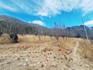 Rancho