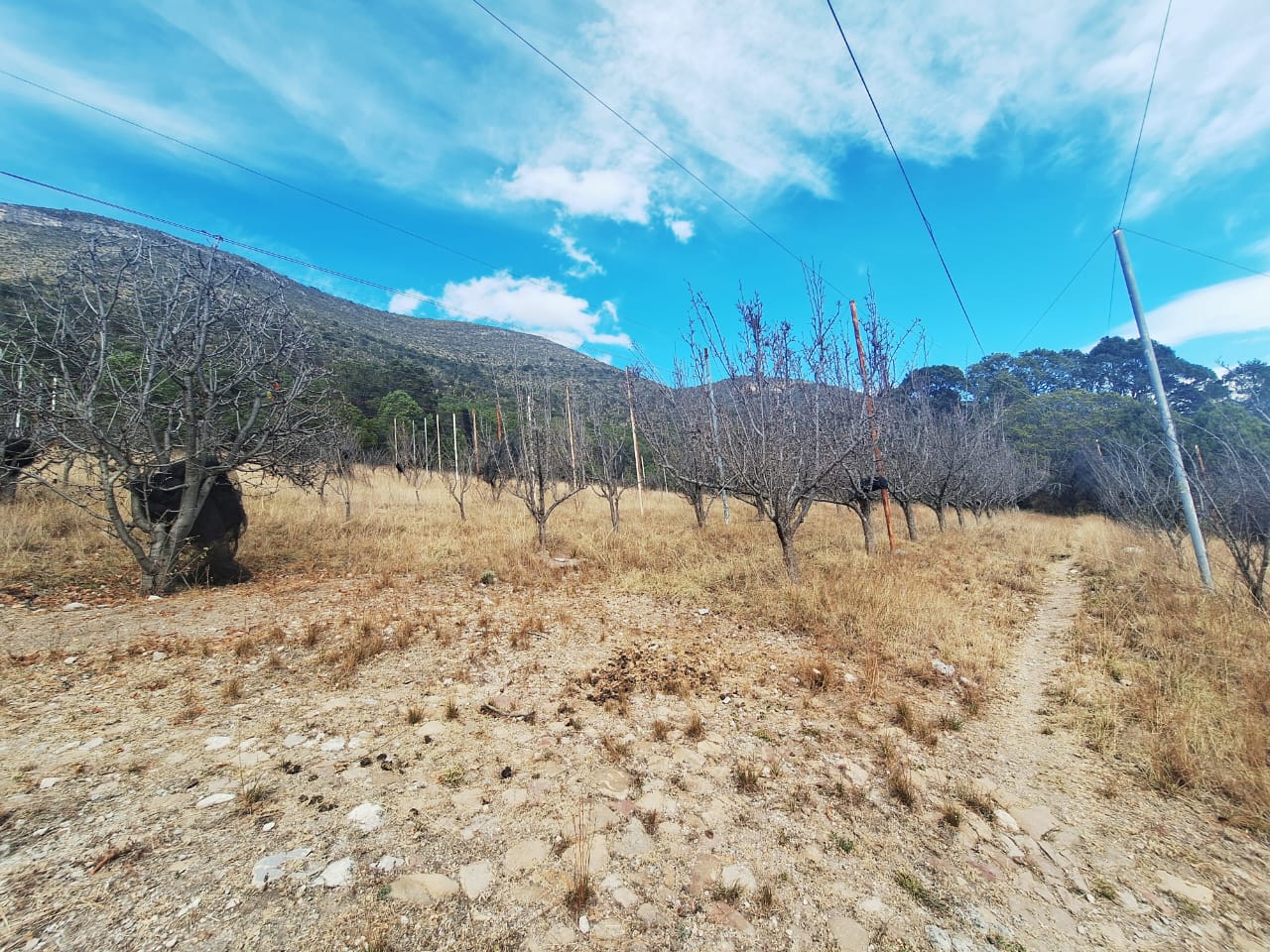 Rancho