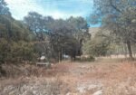 Rancho