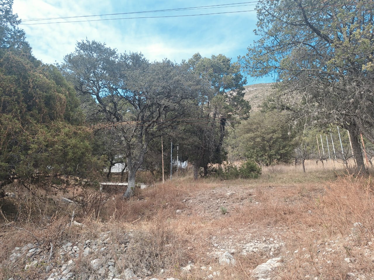 Rancho