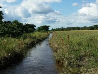 Rancho con agua