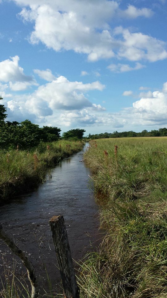 Rancho con agua