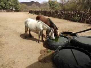 Se vende RANCHO 4636 HA
