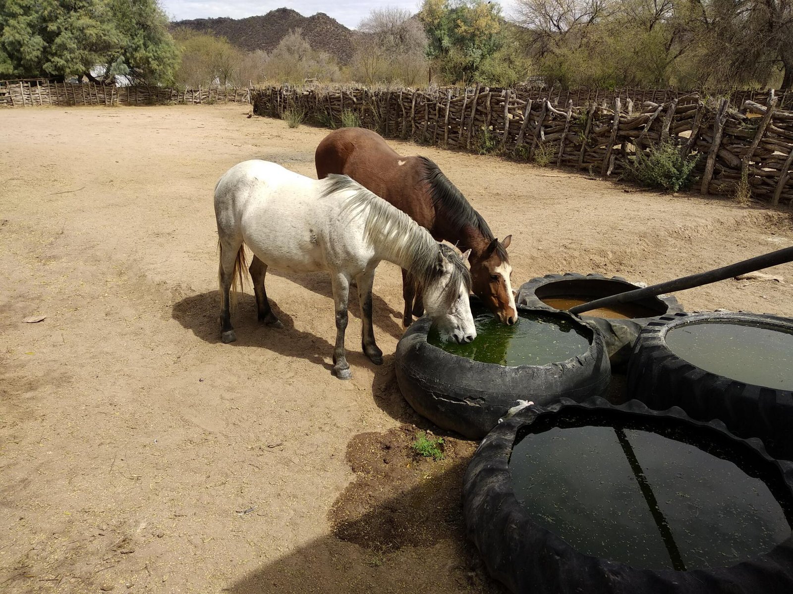 Se vende RANCHO 4636 HA