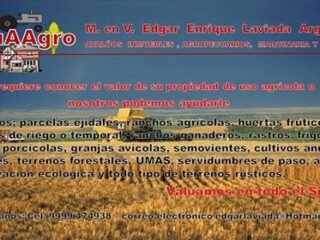 Servicio de avalúo agropecuario