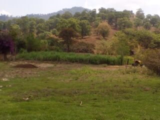 Se vende Rancho de 752 has Villa Corzo Chiapas