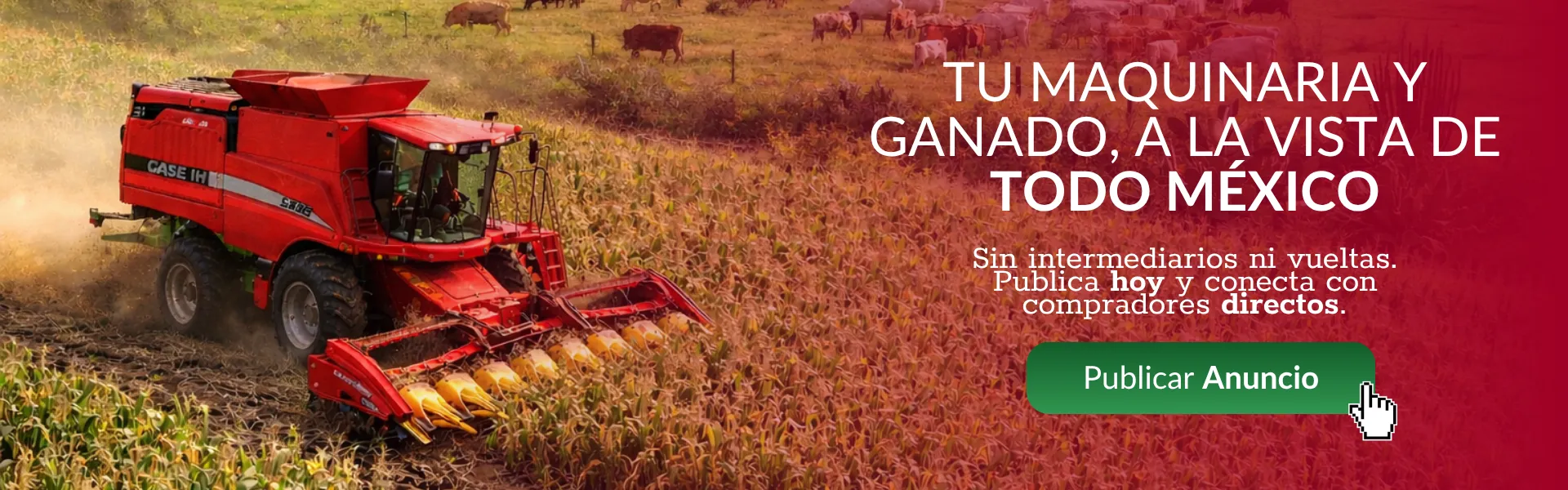 MercaRancho: El campo en un clic. Compra y venta de ganado, maquinaria, terrenos y servicios agropecuarios.
