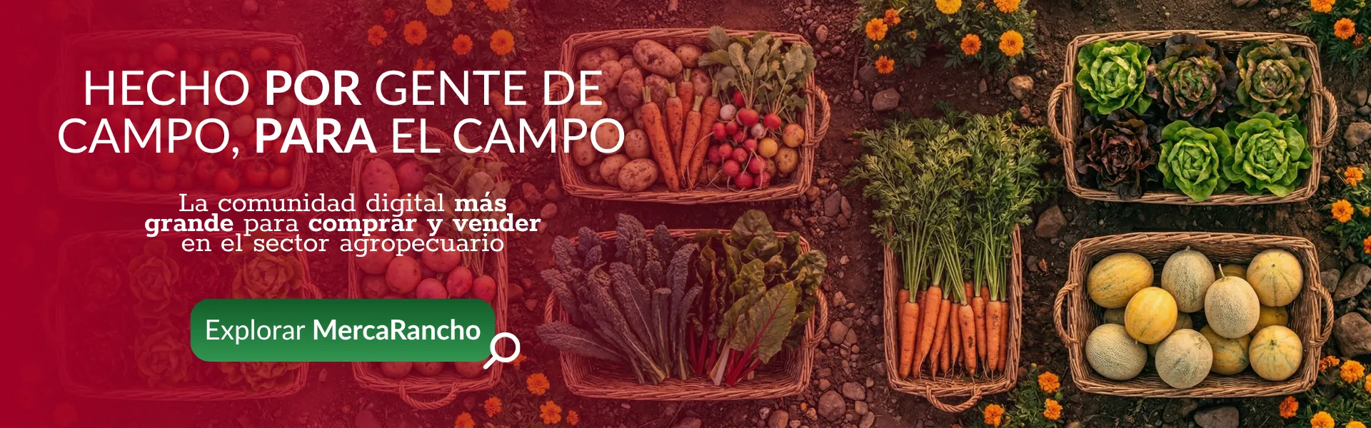 MercaRancho: Venta de hortalizas frescas. Hecho por gente de campo, para el campo. La comunidad digital más grande para comprar y vender en el sector agro.