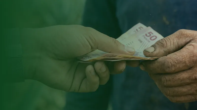 Manos de productor rural recibiendo pago en billetes mexicanos por la venta directa de ganado o cosecha en MercaRancho.