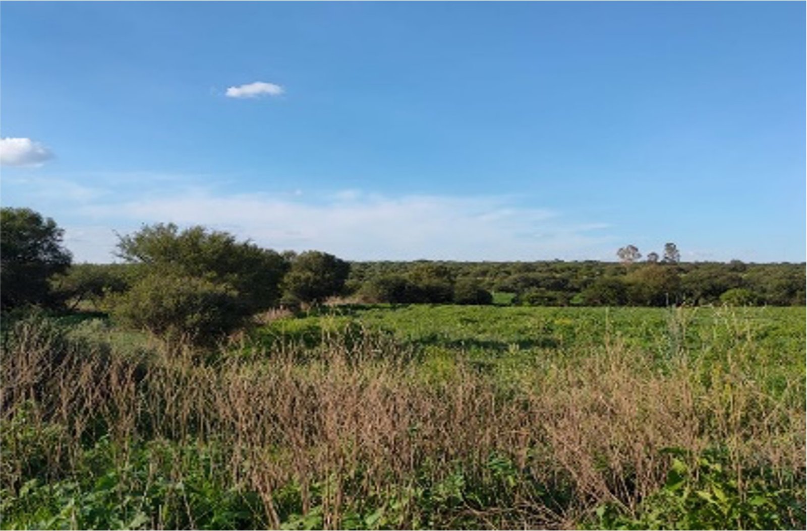 Terreno en Venta en Cienega de Quijas, Sierra de Laureles, Calvillo, Aguascalientes.