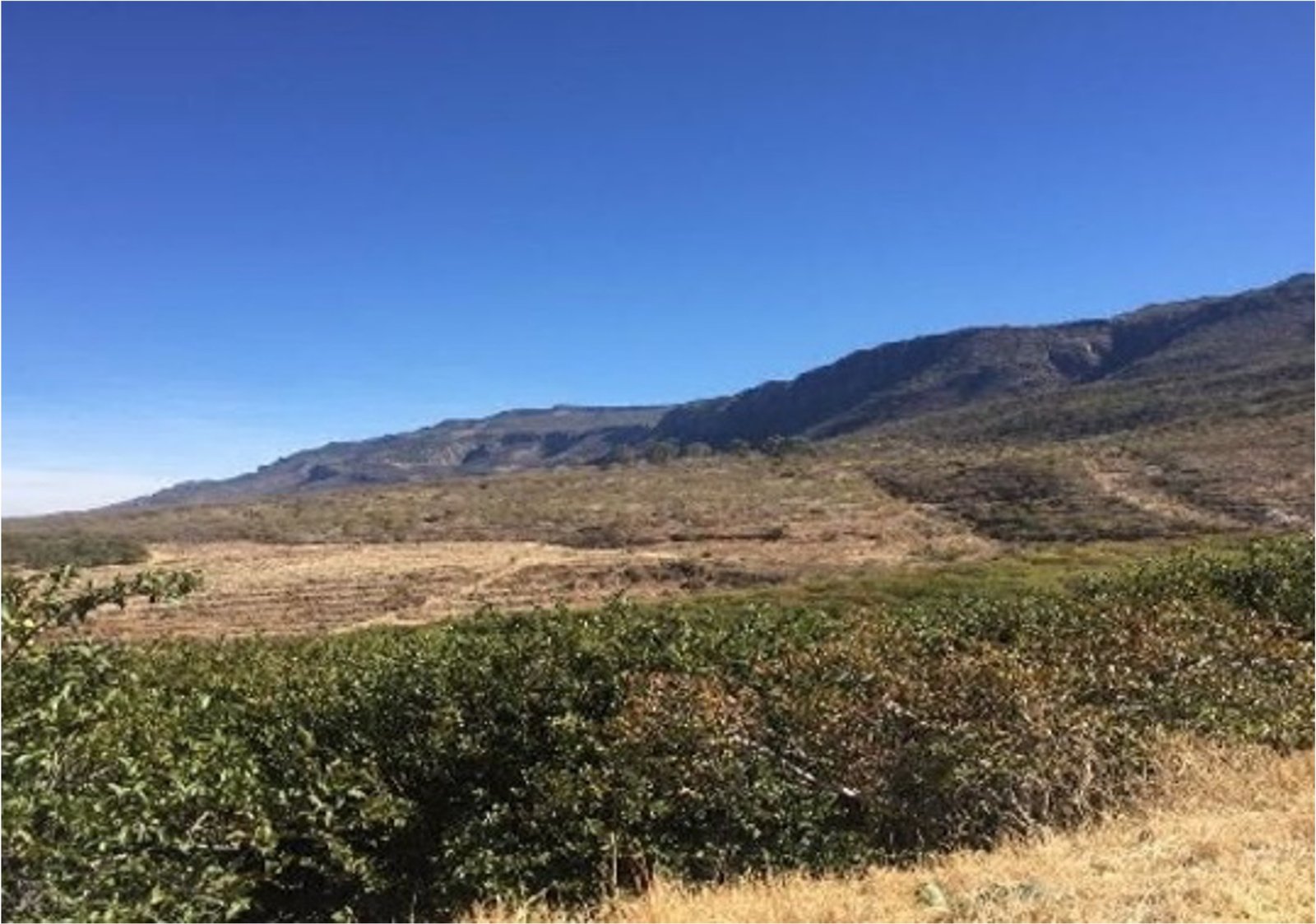 Terreno en Venta en Cienega de Quijas, Sierra de Laureles, Calvillo, Aguascalientes.