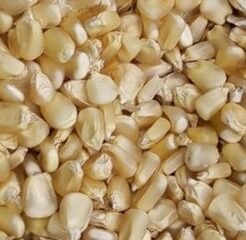 IMG-20250521-WA00162