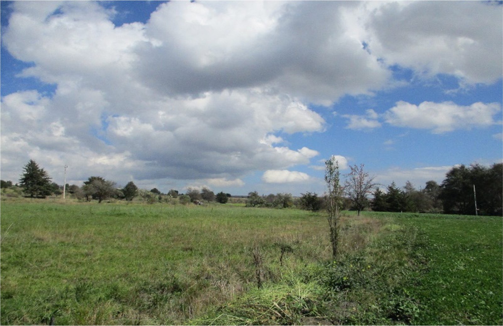 Terreno en Pabellón de Arteaga, localidad San Luis de Letras al norte de Aguascalientes.