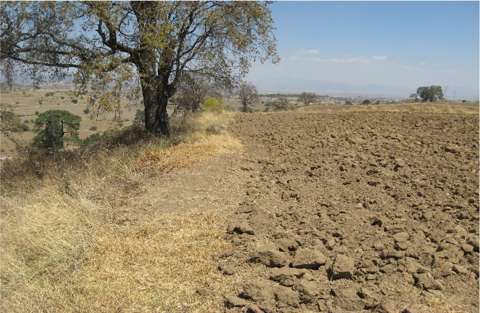 TERRENO EN VENTA , Ubicación. Rancho Los Caballos, cerca de Villa de Cos, sobre camino a Los Caballos.