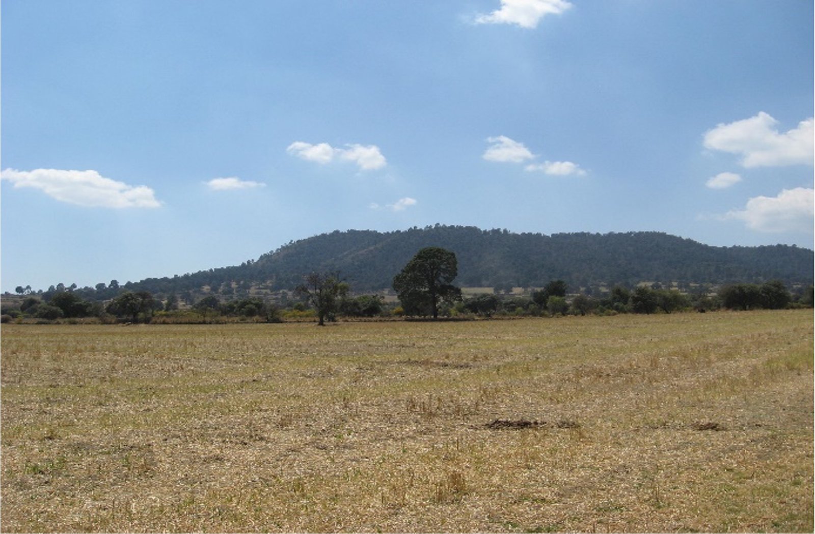 TERRENO EN VENTA , Ubicación. Rancho Los Caballos, cerca de Villa de Cos, sobre camino a Los Caballos.