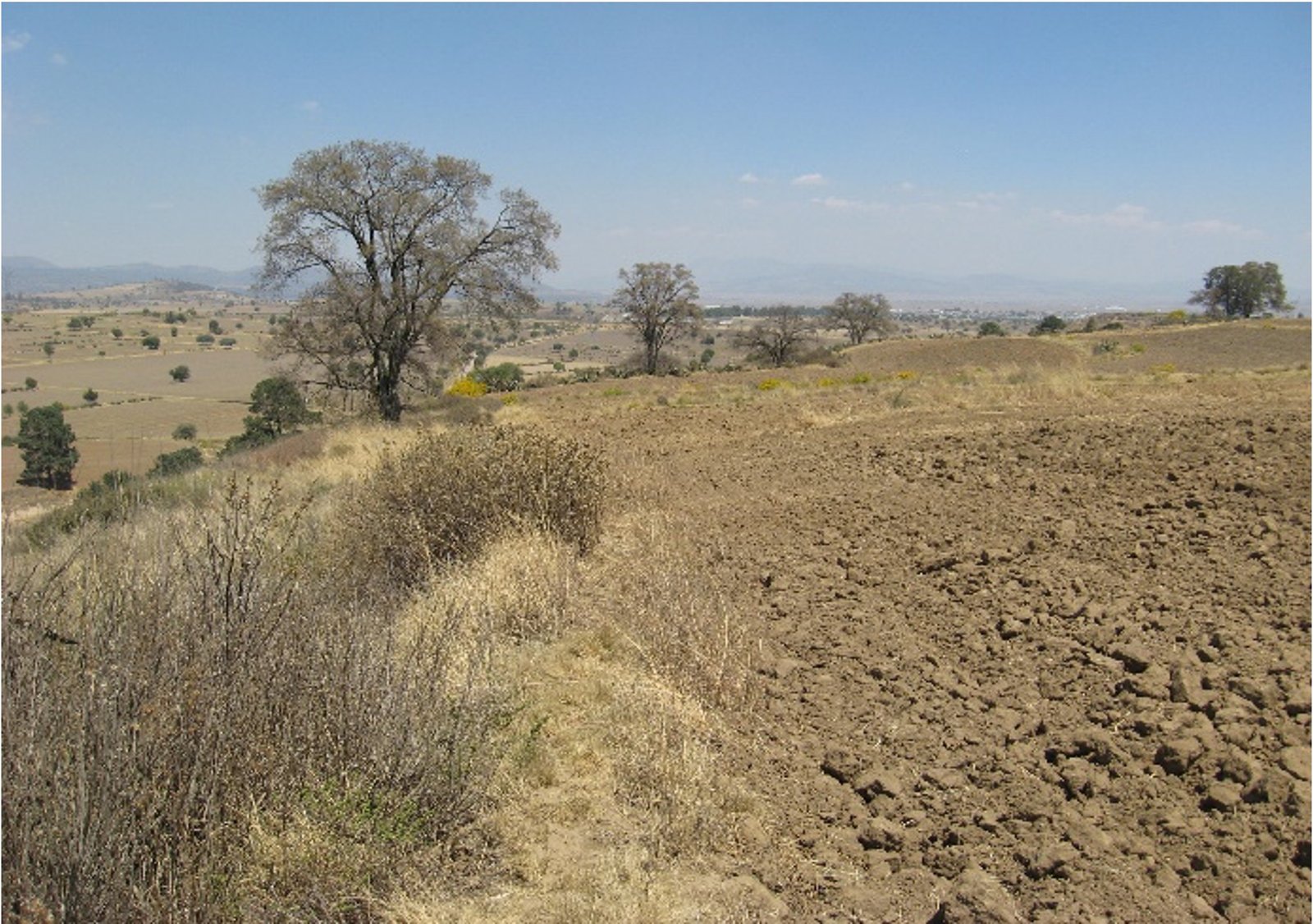 TERRENO EN VENTA , Ubicación. Rancho Los Caballos, cerca de Villa de Cos, sobre camino a Los Caballos.