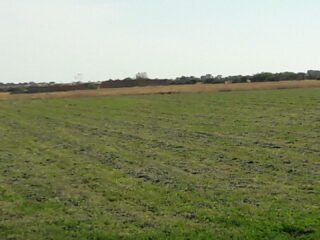 pic4y6af41hxzc6yxi58cdd30c2c8564c0deb7e030dcdf13221386-1-scaled